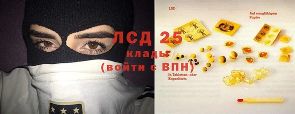 прущие грибы Арсеньев