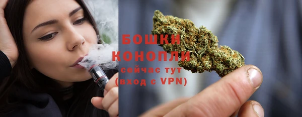 прущие грибы Арсеньев