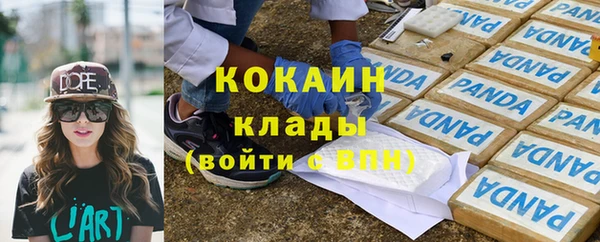 гашик Балахна