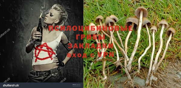 jwh Балабаново