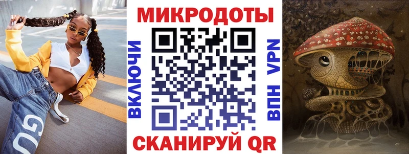 Псилоцибиновые грибы Psilocybine cubensis  Северобайкальск 